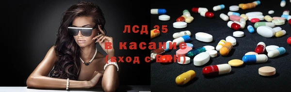 ПСИЛОЦИБИНОВЫЕ ГРИБЫ Арсеньев