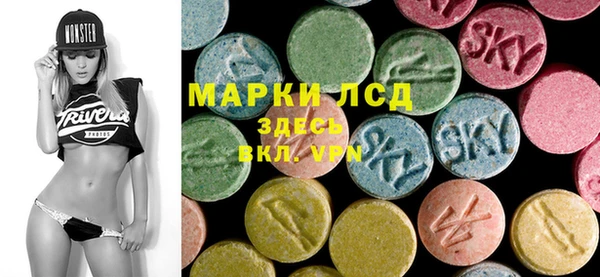 гидра Алексеевка
