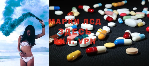 ПСИЛОЦИБИНОВЫЕ ГРИБЫ Арсеньев