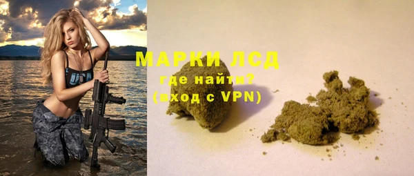 ПСИЛОЦИБИНОВЫЕ ГРИБЫ Арсеньев
