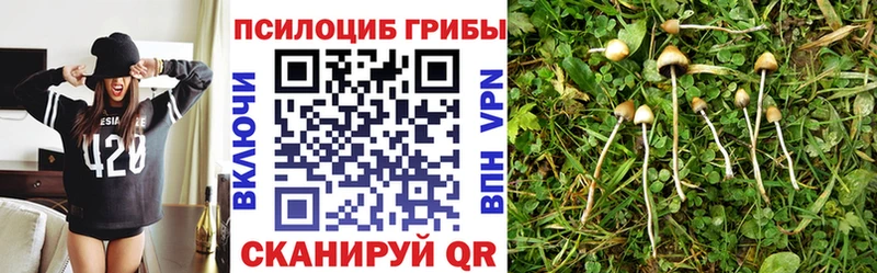 Галлюциногенные грибы GOLDEN TEACHER  Новороссийск 