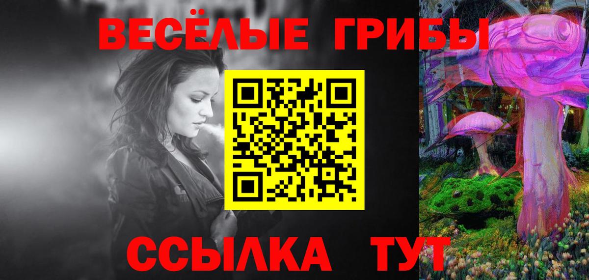 Новороссийск  Галлюциногенные грибы Cubensis  цены наркотик  Вход с VPN 